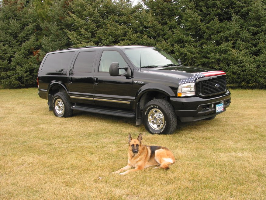 2003 Ford excursion carpet #8